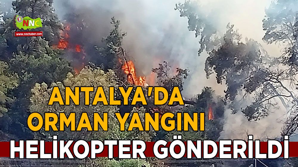 Antalya'da orman yangını, helikopter gönderildi