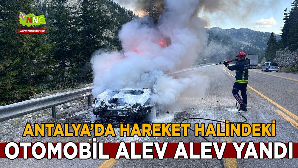 Antalya'da otomobil alevlere teslim oldu
