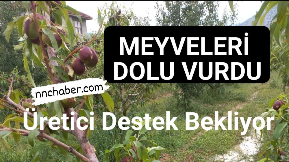 Antalya  Korkuteli ilçesinde Meyveleri Dolu Vurdu