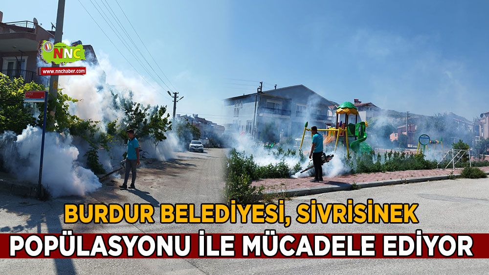 Burdur'da Sivrisinek Popülasyonu ile etkin mücadele