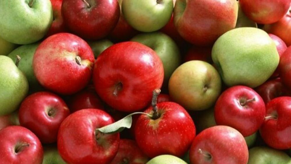 Elma Çeşitlerinin Faydaları: Sağlık İçin Seçenekler
