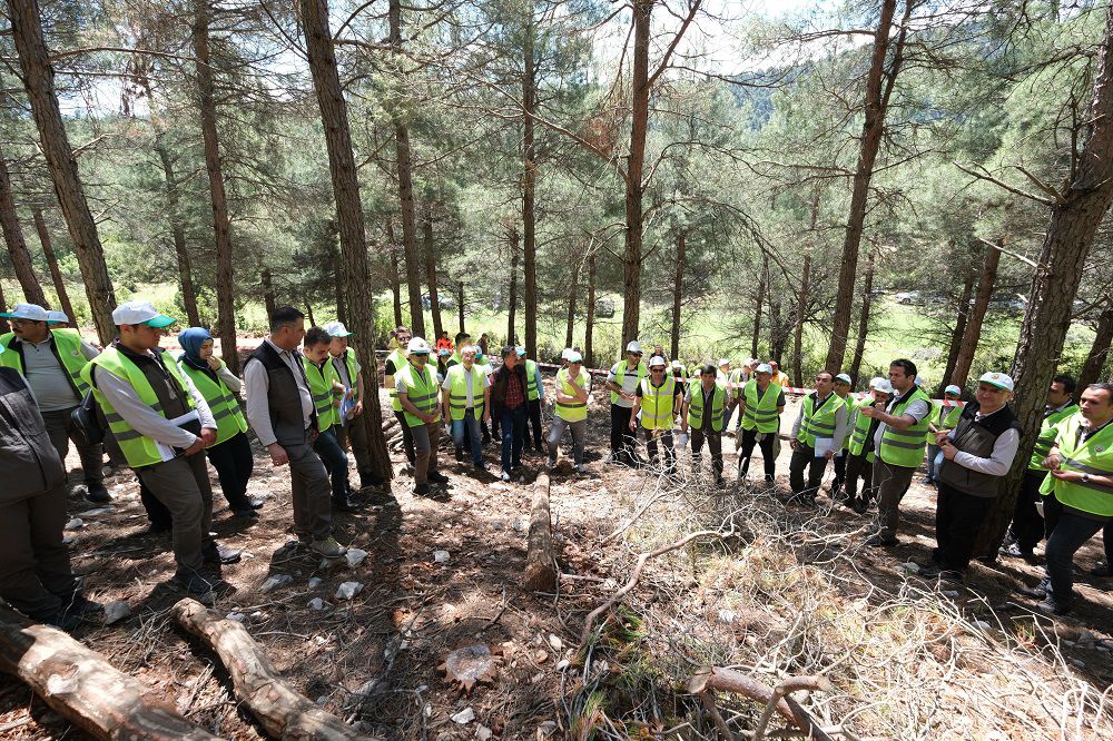 Orman Genel Müdür Yardımcı Bucak'ta, sektör temsilcileriyle bir araya geldi