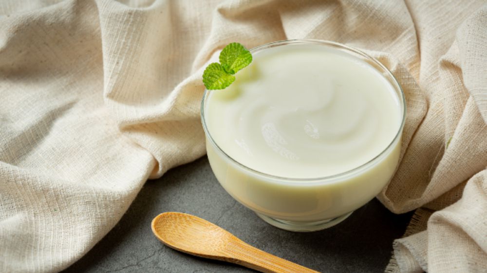 Sağlıklı ve Kıvamlı Yoğurt İçin Püf Noktaları: Evde Kalıp Gibi Yoğurt Nasıl Yapılır?