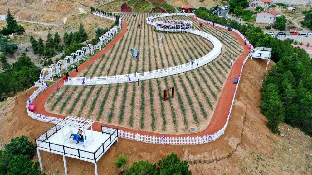 20 bin metrekarelik Lavanta Bahçesi açıldı