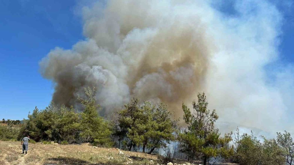 Adana’da orman yangını 