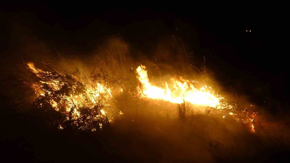 Adıyaman'daki anız yangını korkuttu