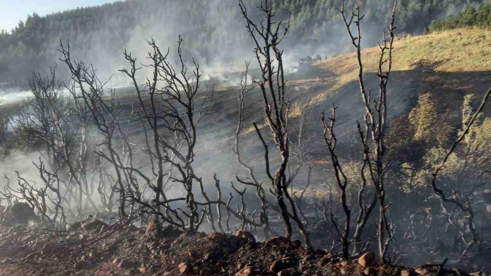 Afyonkarahisar ' da Yangın Korkuttu   