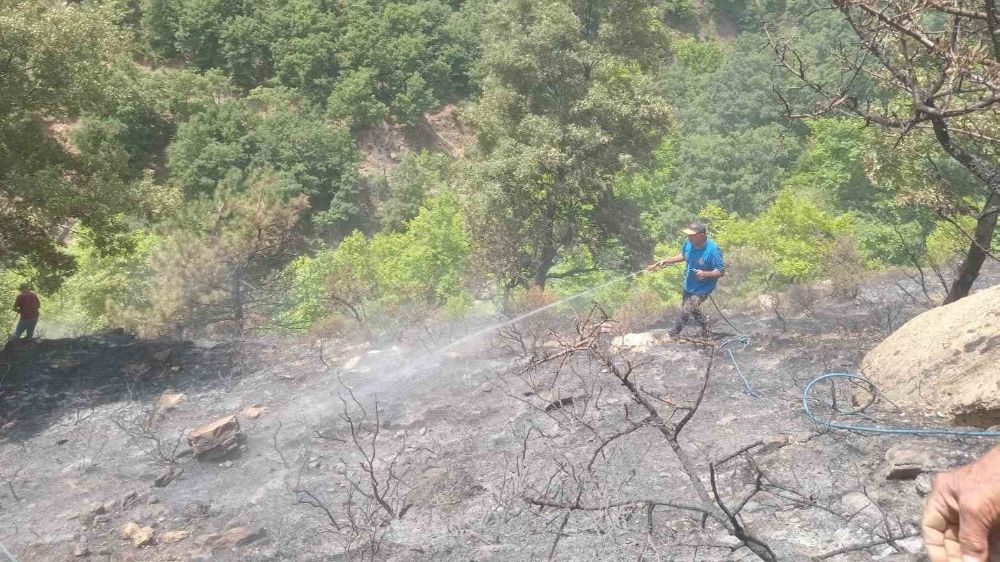  Alaşehir’deki orman yangını kontrol altında