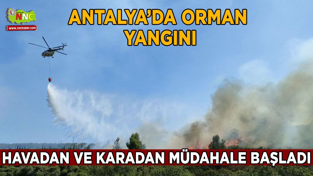 Antalya'da çıkan orman yangınına havadan karadan müdahale