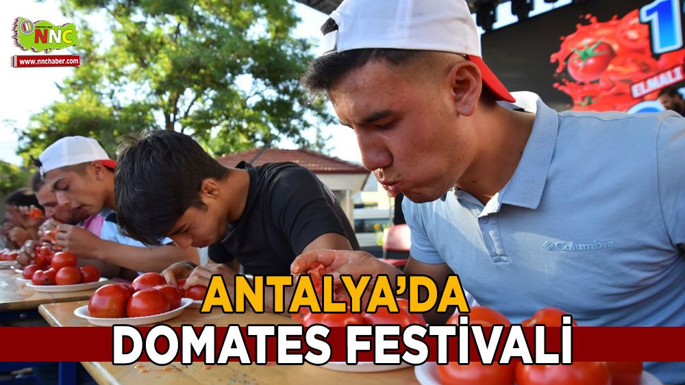 Antalya'da domates festivali