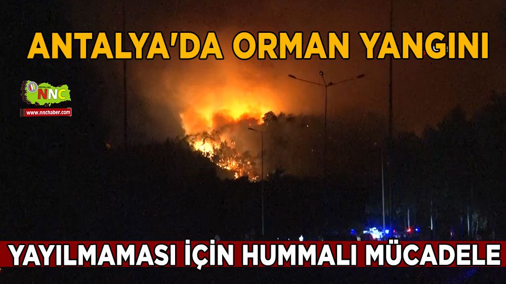 Antalya'da orman yangını: Ekipler çalışmalarını sürdürüyor