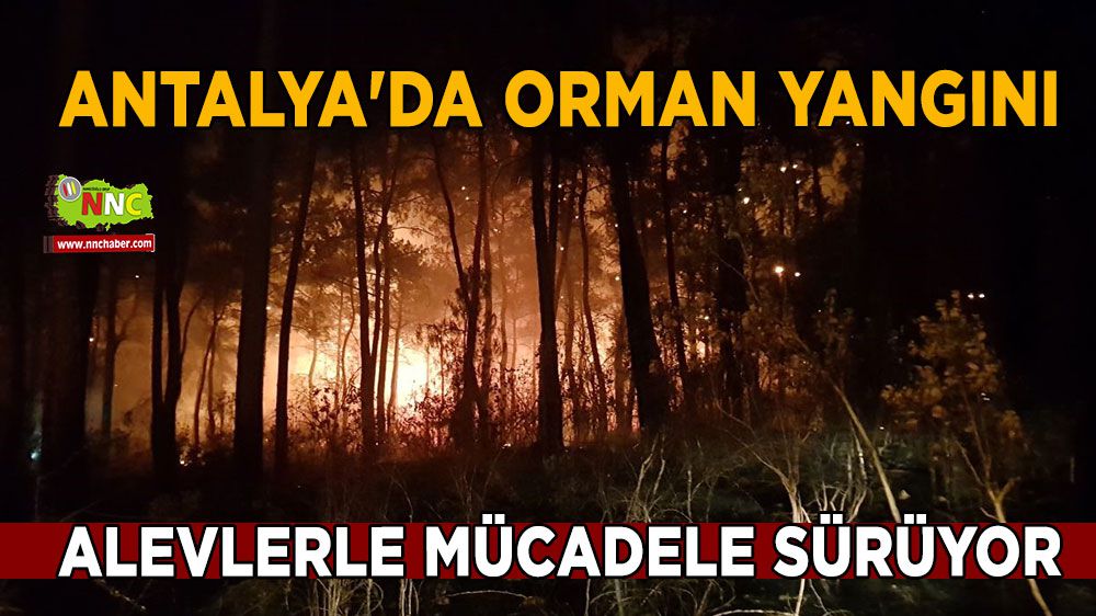 Antalya'da ormanlık alanda alevlerle mücadele