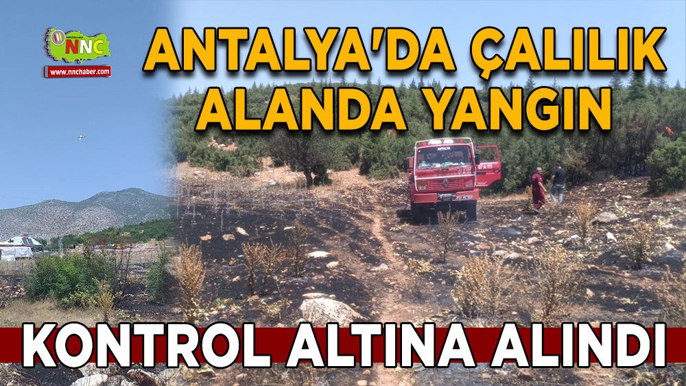 Antalya'da yangın sonrası hızlı müdahale
