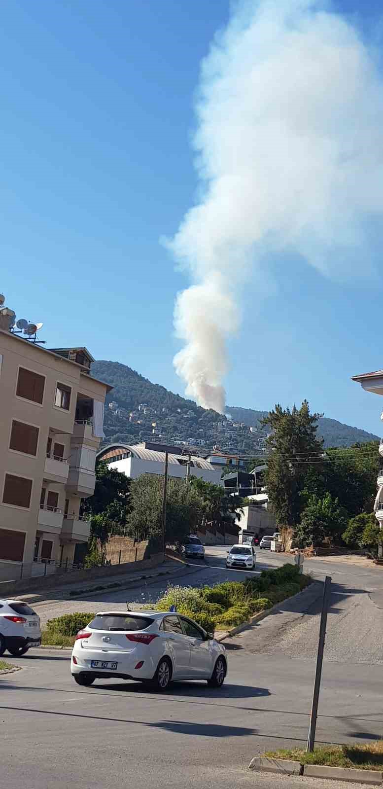 Antalya’daki orman yangında 1.5 hektar alan kül oldu