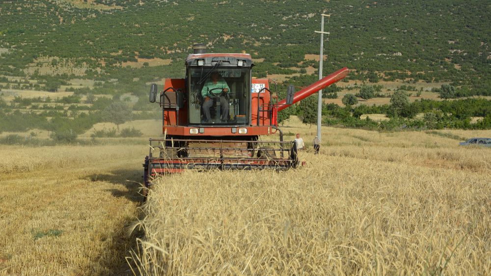 Antalya Korkuteli İlçesinde Arpa Buğday Hasadı Başladı 