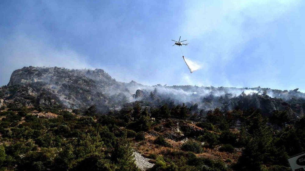 Aydın'daki orman yangını söndürüldü
