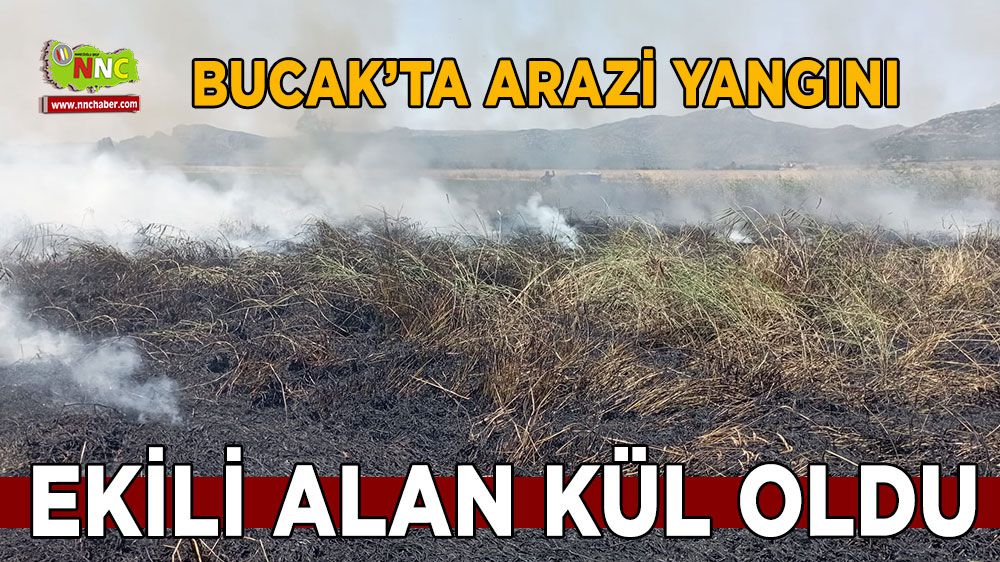 Bucak'ta arazi yangını! Ekili alan yandı