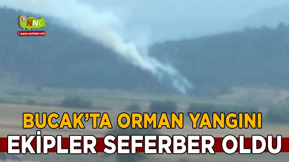 Bucak'ta orman yangını ekipler seferber oldu
