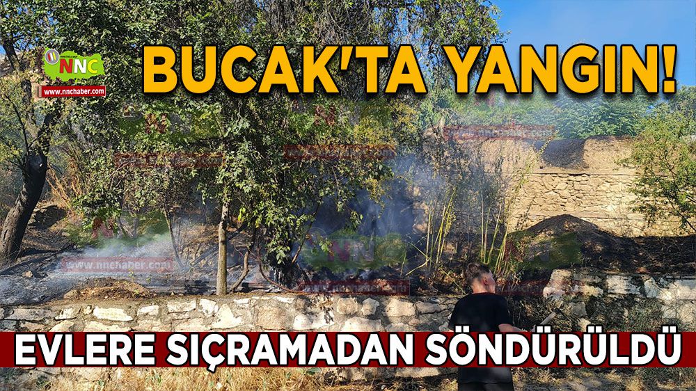 Bucak'ta yangın! Evlere sıçramadan söndürüldü