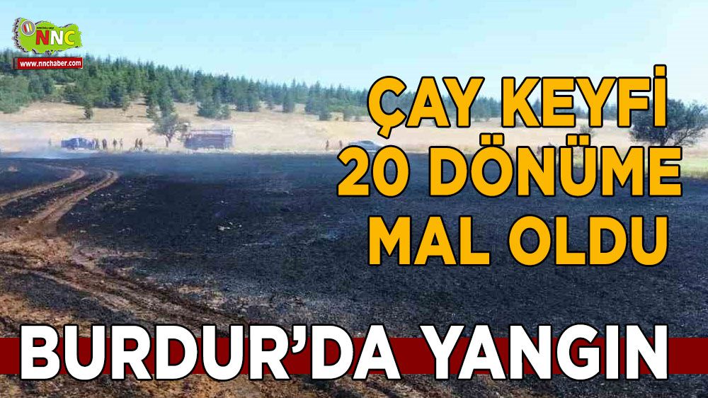 Burdur'da çay keyfi 20 dönüme mal oldu