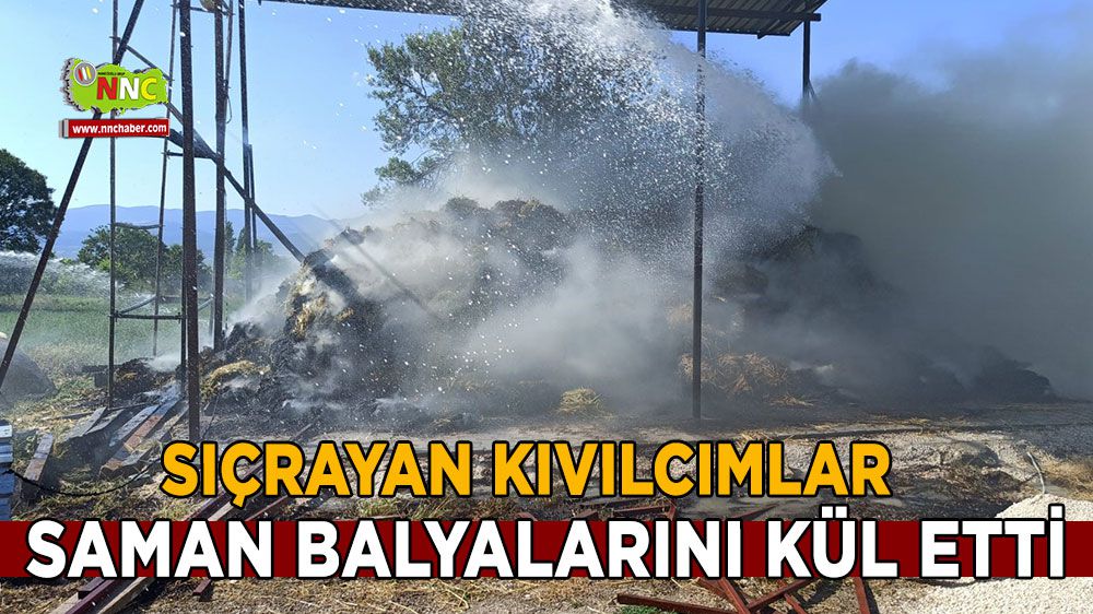 Burdur'da saman balyaları kül oldu