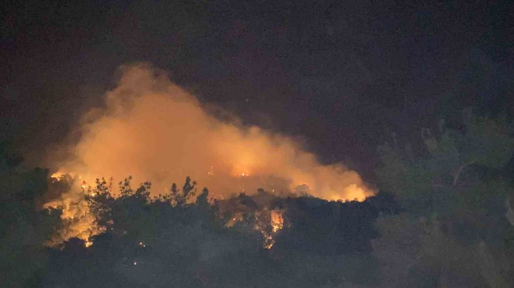Çanakkale’de Akşam saatlerinde yangın Çıktı