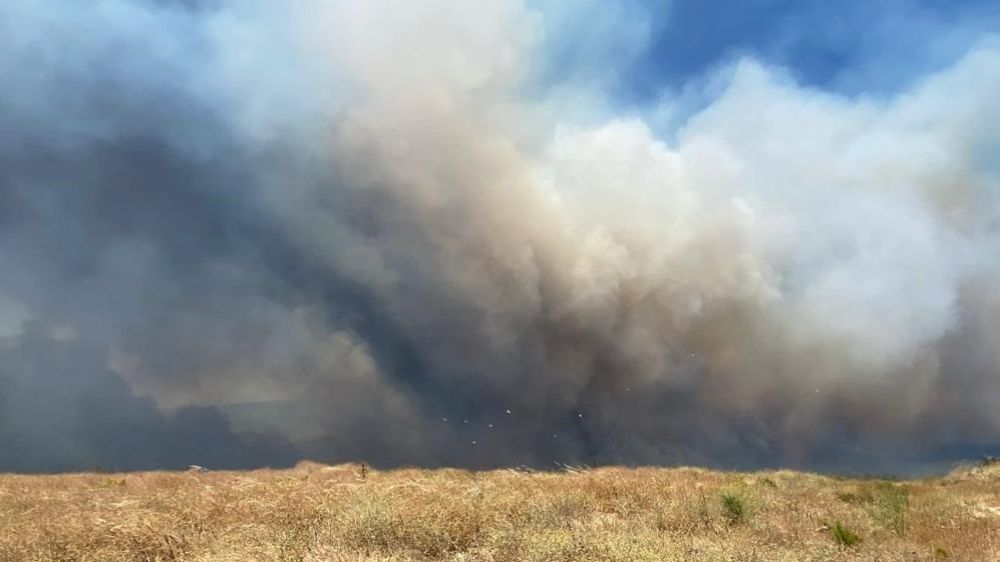 Çanakkale'deki yangın 22 saattir kontrol altına alınmaya çalışılıyor