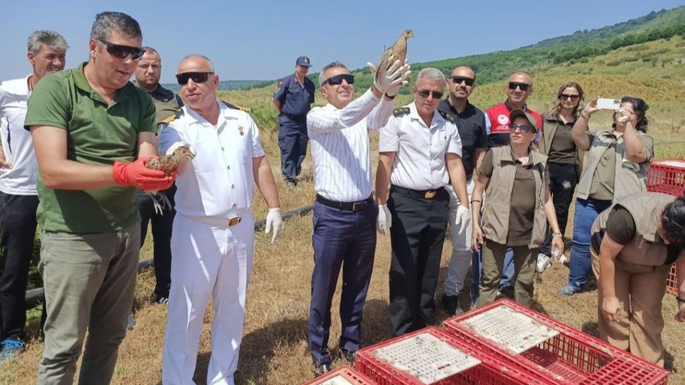 doğal hayatı canlandırmak amacıyla Erdek'te ormana sülün ve keklik salındı