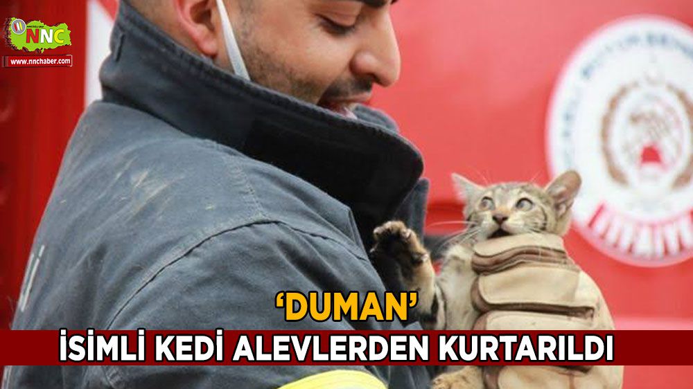 'Duman' isimli kedi alevlerden kurtarıldı