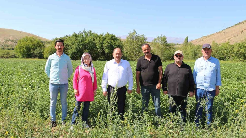 Erzincan’da patates projesi başarıyla uygulanıyor