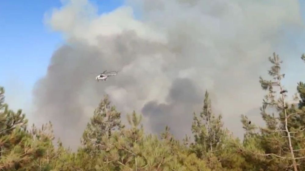 Gaziantep’te  Orman Yangını Korkuttu 