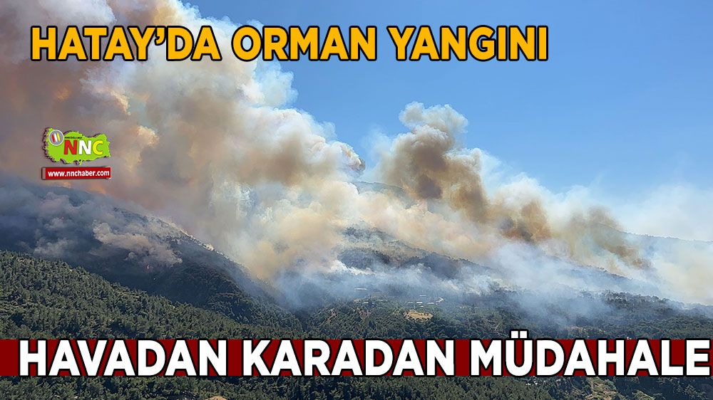 Hatay'da orman yangını