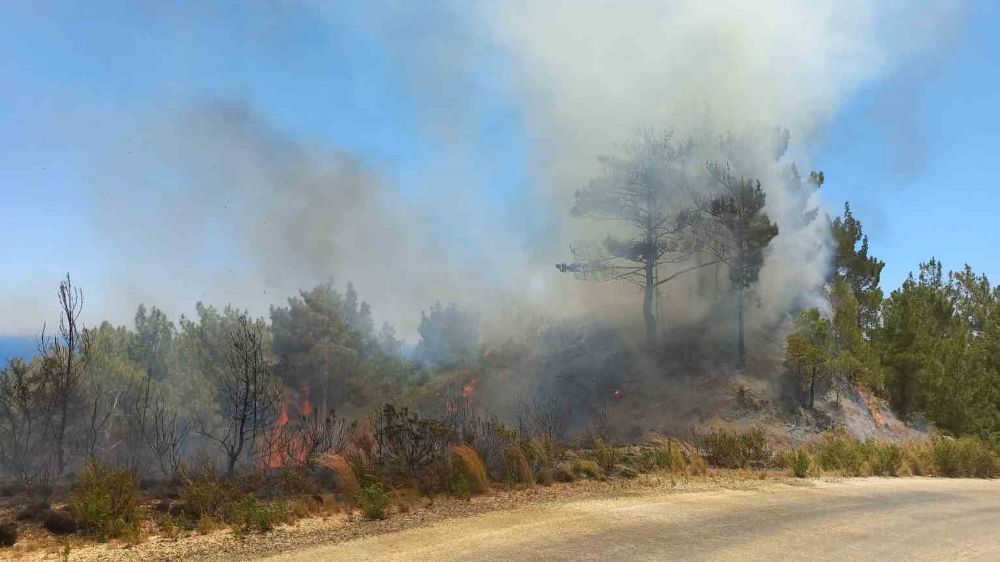 Hatay'daki yangına havadan karadan müdahale