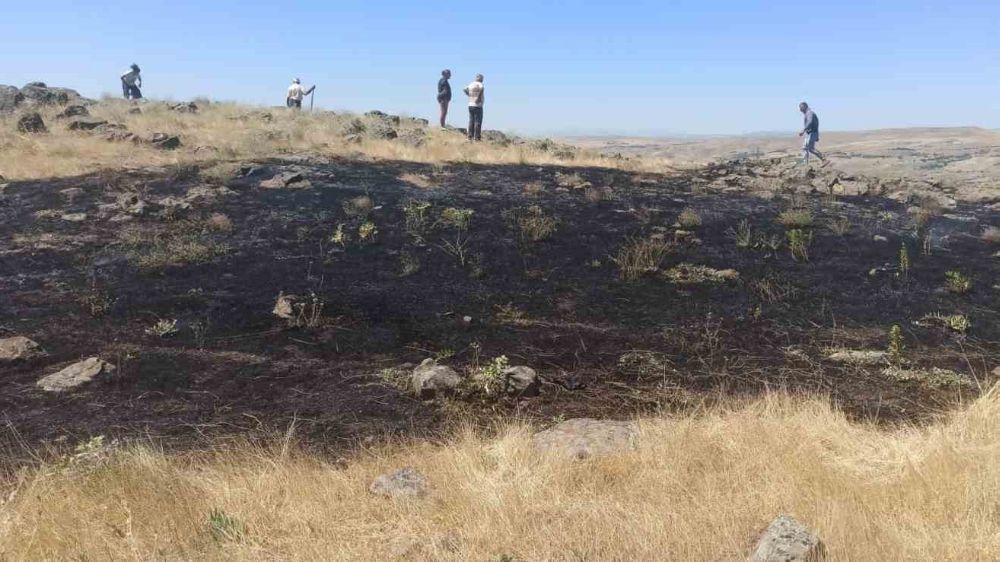 İki dönümlük alanda yangın 