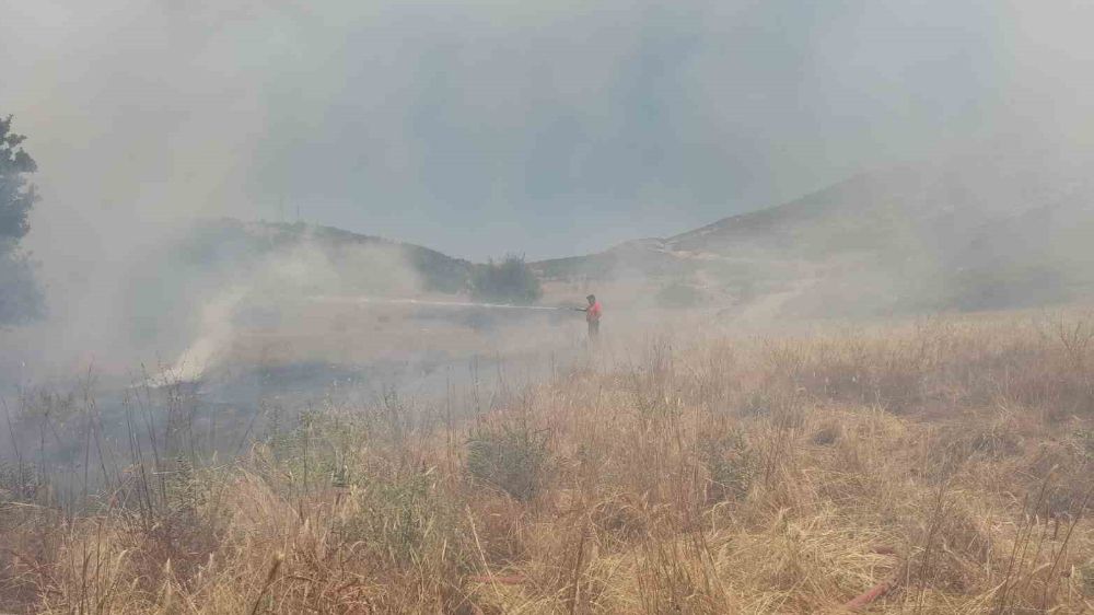 Isparta'da arazi yangını