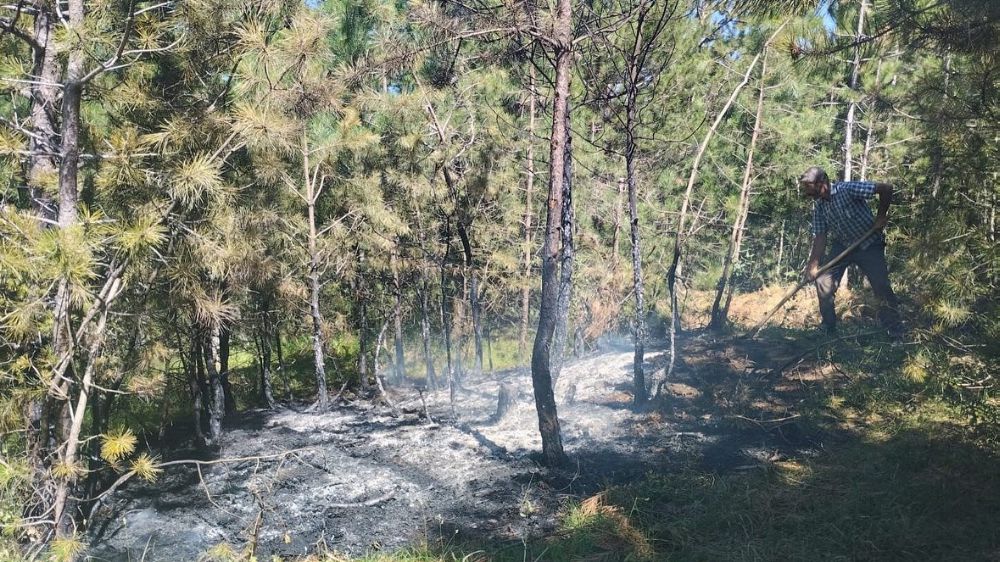 Kastamonu'nun 2 ilçesinde çıkan yangınlar kontrol altına alındı