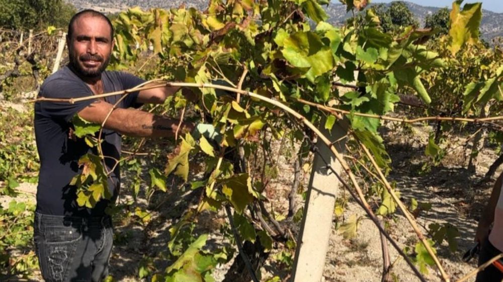 Kayıp olan tarım işçisinin ölümündeki sır perdesi aralandı