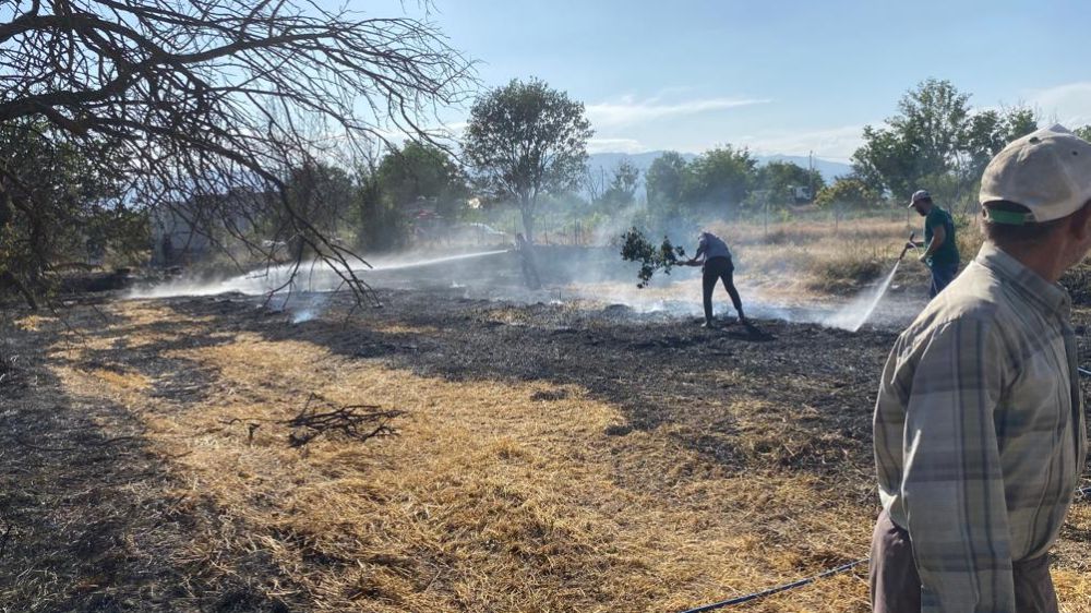 Korkuteli Bozova'da Arazi Yangını Ağaçlar ve ekili alanlar yandı 