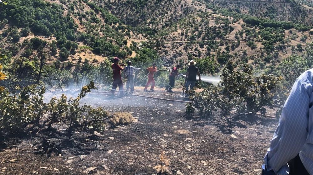 Köyde'ki  Yangın Vatandaşları korkuttu 