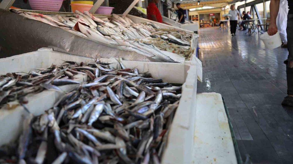Mersin'de balık pazarı açıldı