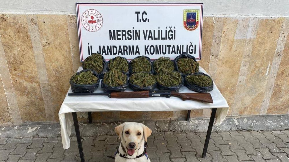 Mersin’de Operasyon: 24 Kilo Skunk Ele Geçirildi