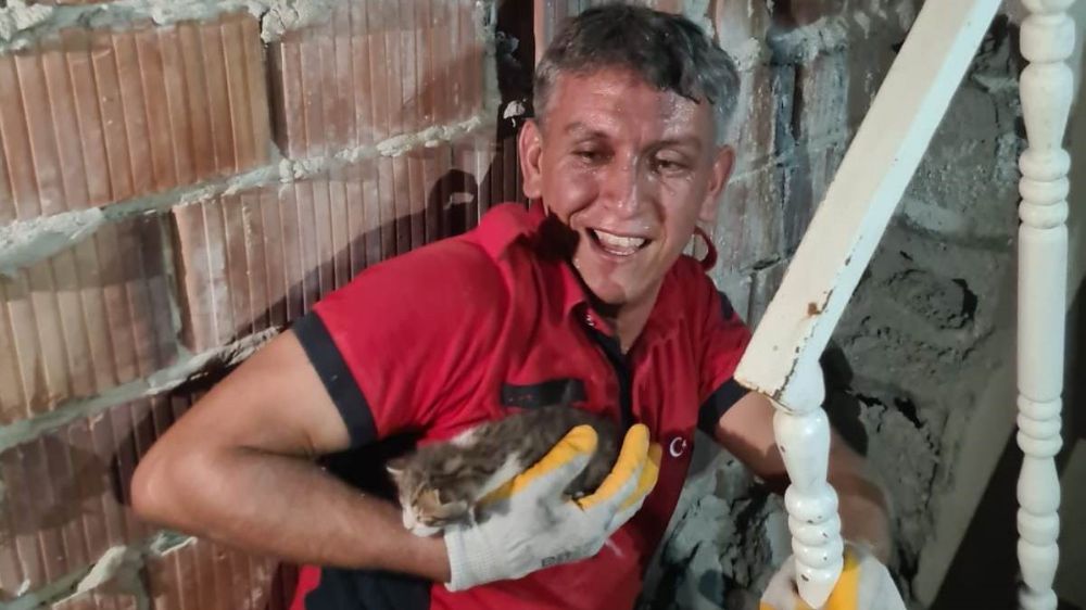 Mersin'de yavru kedinin imdadına itfaiye yetişti