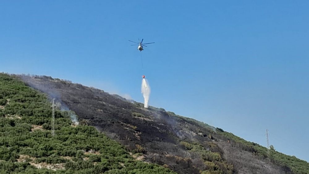 Muğla'da ziraat alanında çıkan yangın kontrol altına alındı