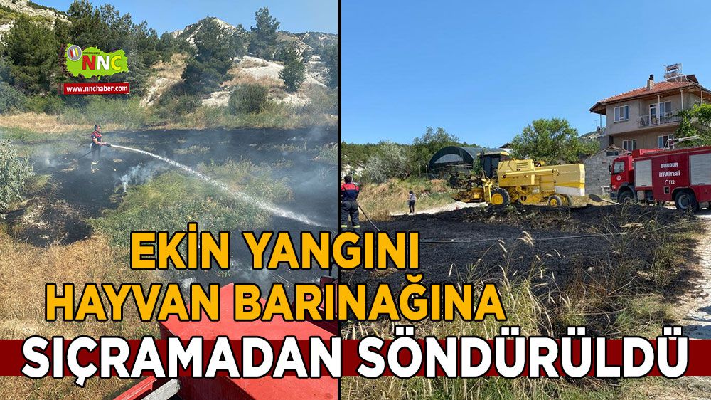 Neyse ki hayvan barınağına ulaşamadan söndürüldü