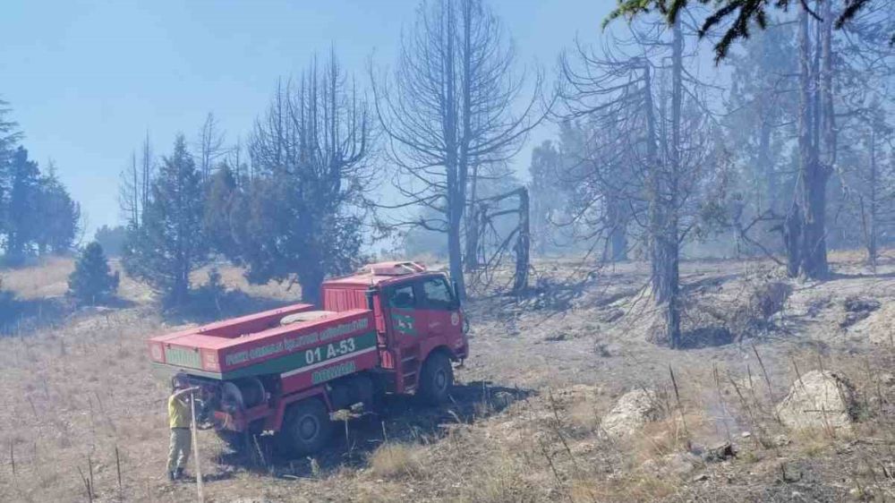 Saimbeyli'deki orman yangınından sevindiren haber