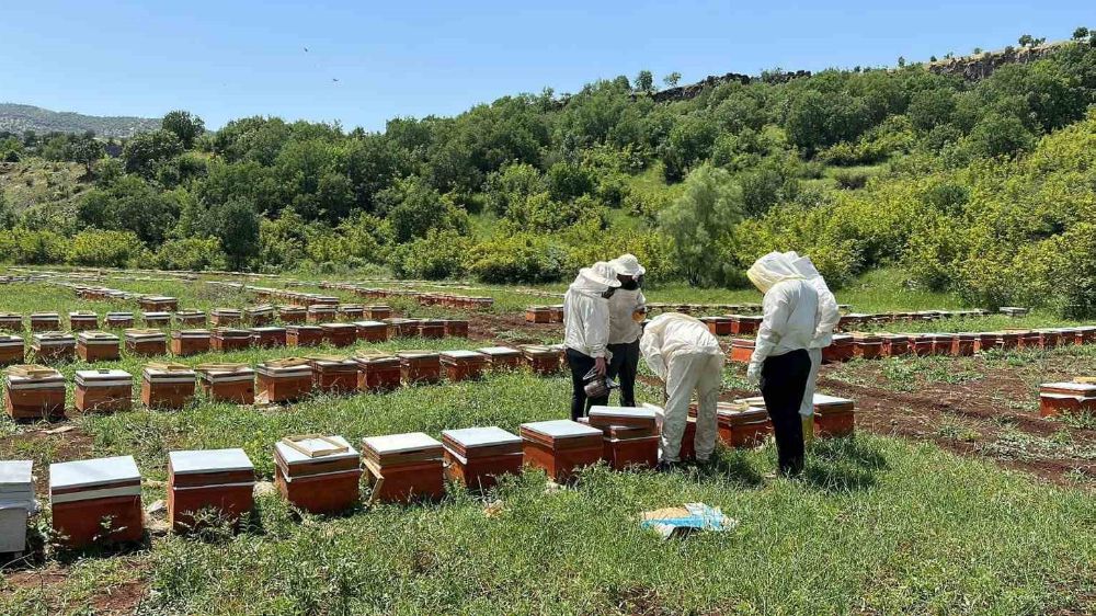 Süzme, karakovan ve petek balın fiyatı belirlendi