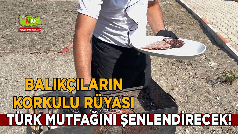 Türk mutfağını şenlendirecek! Popülasyon kontrol altına alınacak