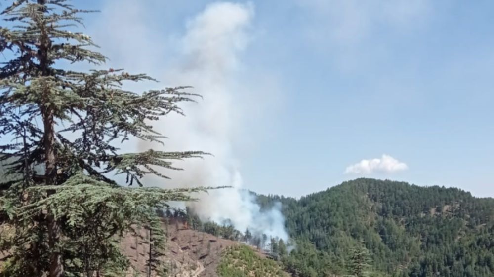 Adana Feke’de orman yangını