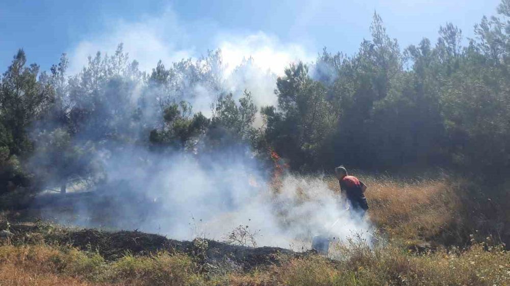 Amasya’da Arazide Çıkan Yangın Ormanlık Alana Sıçradı