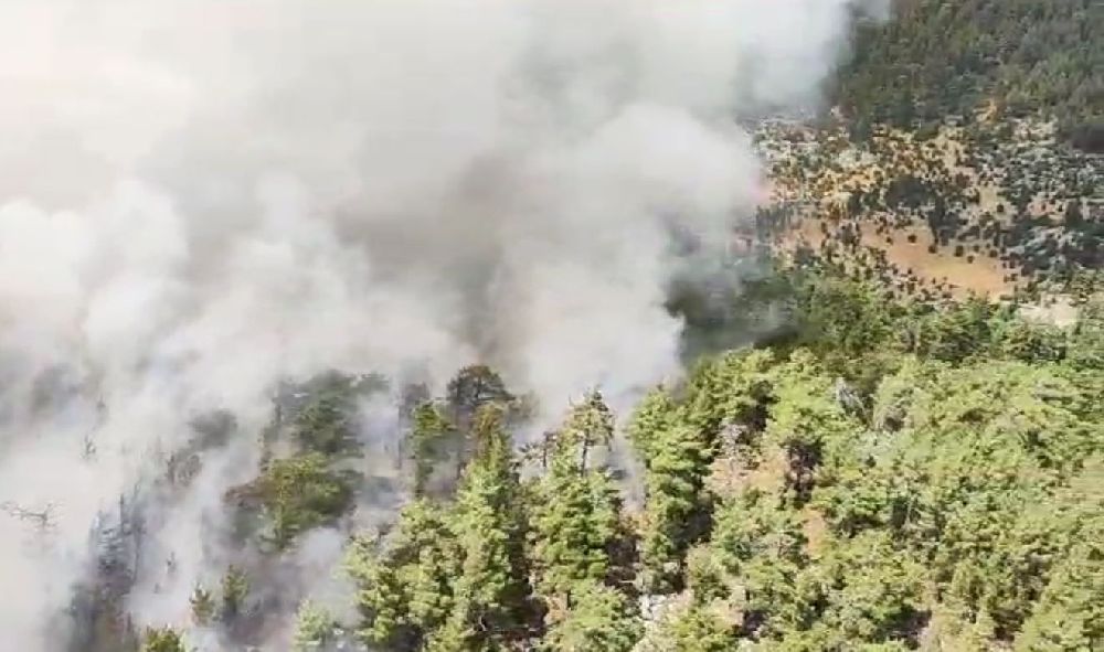 Antalya Akseki Orman Yangını: Havadan ve Karadan Müdahale Başladı